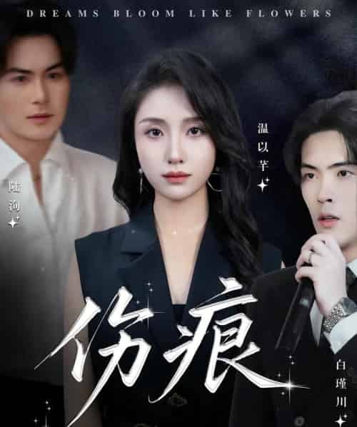 伤痕（60集）杨屿骁＆龙玥霖-搜外项目网