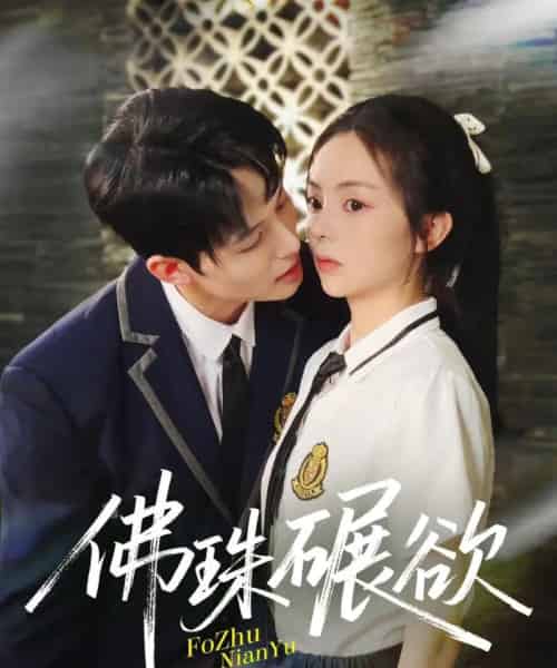 佛珠碾欲(90集全)张月&梅先锋-搜外项目网