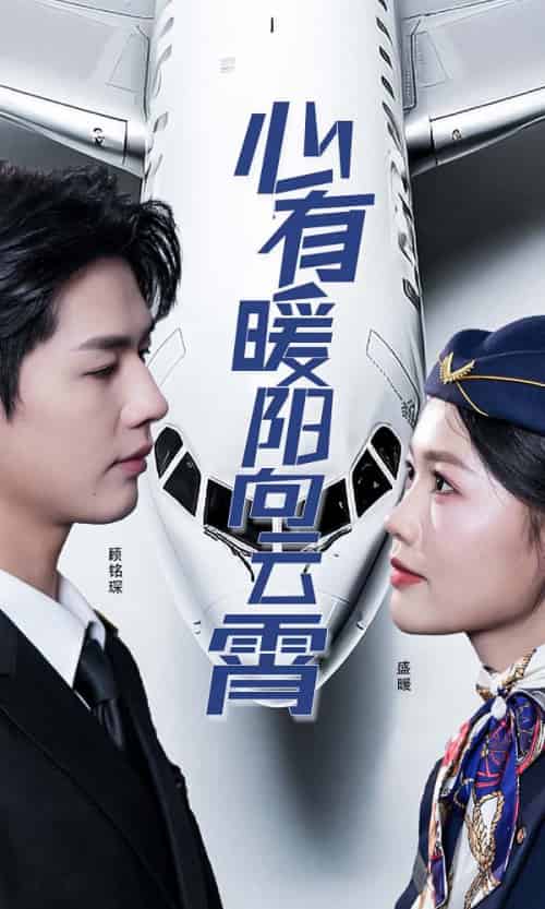 心有暖阳向云霄（36集全）李佑霖-搜外项目网