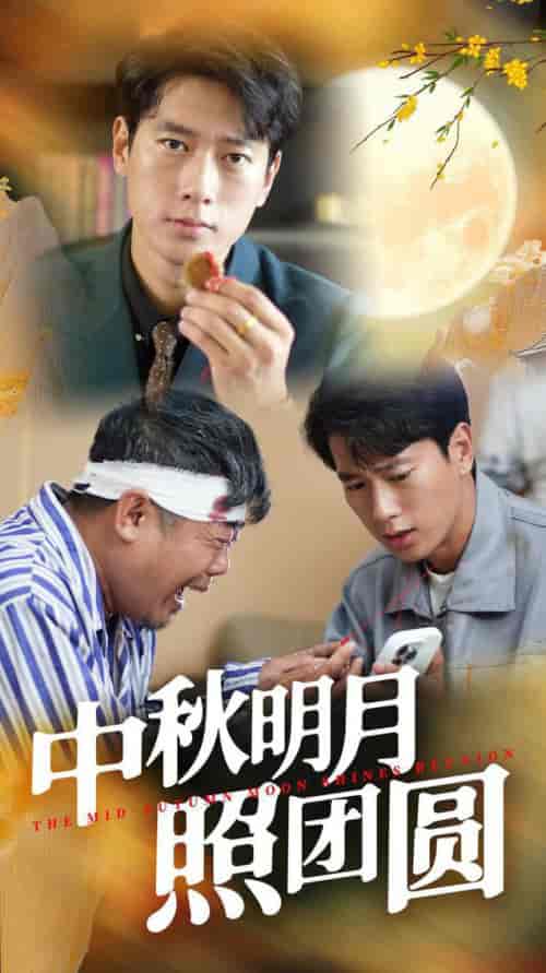 中秋明月照团圆（52集）王小野-搜外项目网