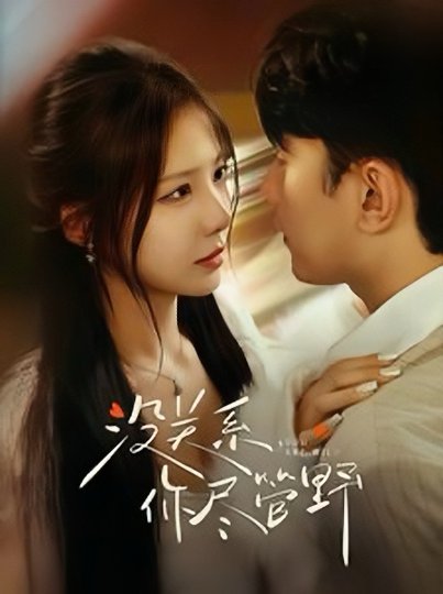 没关系你尽管野（29集全）祁圣翰＆孟璐-搜外项目网