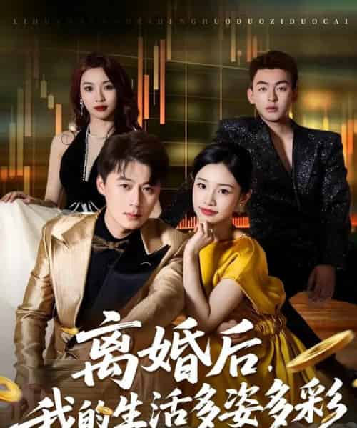 离婚后,我的生活多姿多彩(64集全)李诗林&戴金麟-搜外项目网