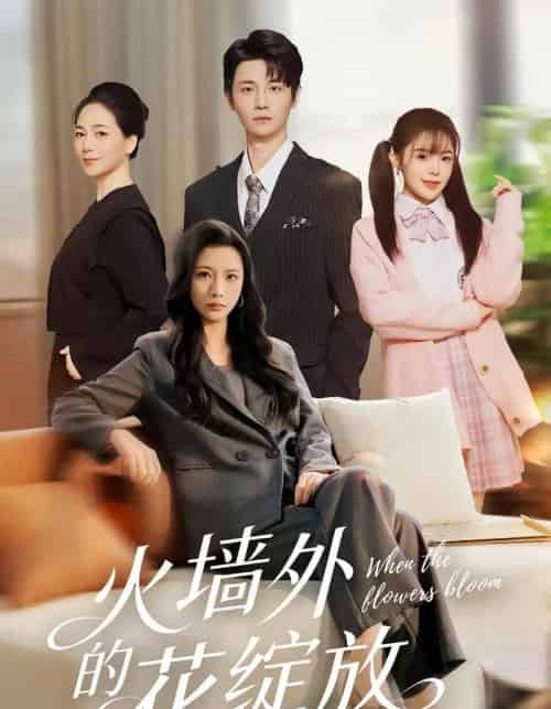 火墙外的花绽放（49集全）王沁然＆刘方为-搜外项目网
