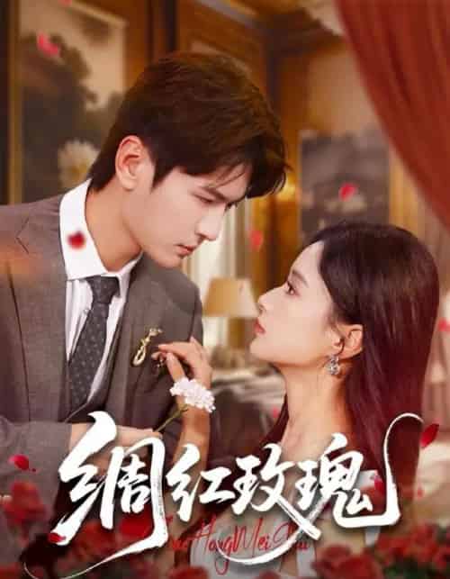 绸红玫瑰（86集全）杨皓然＆王宇婧-搜外项目网