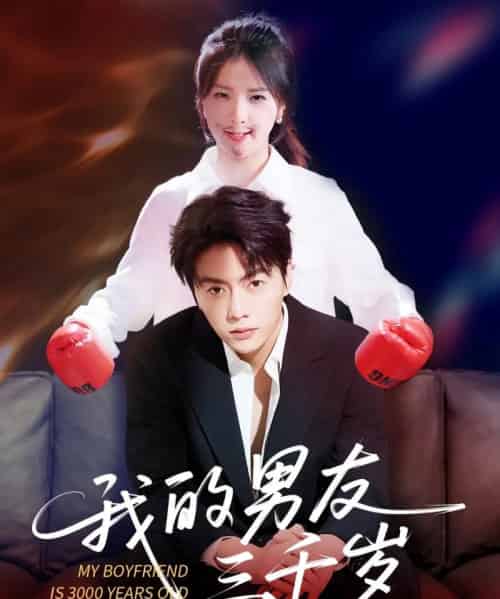 我的男友三千岁（100集）张许焓＆张磊-搜外项目网