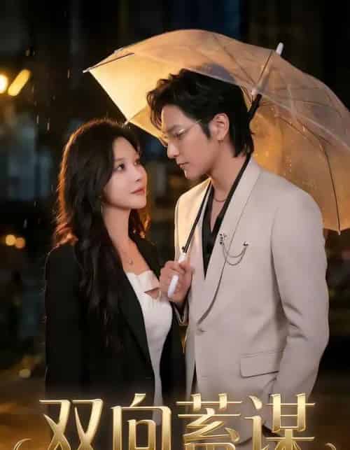 双向蓄谋(63集全)何雨桐&胡昂黄-搜外项目网
