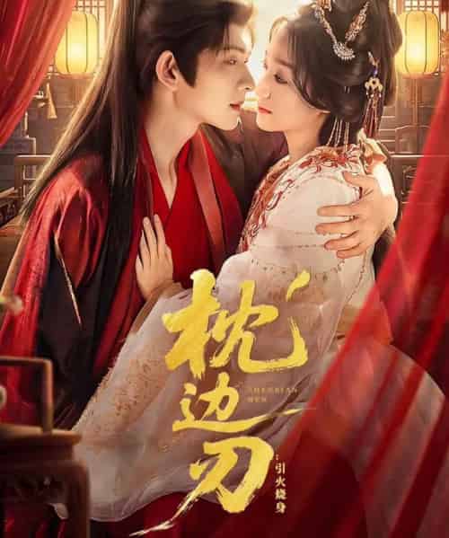 枕边刃:引火烧身(81集全)陈添祥&王小亿-搜外项目网