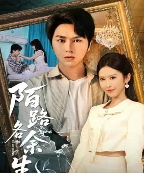 陌路各余生（65集全）张易嵘＆秦玺＆王珊珊-搜外项目网