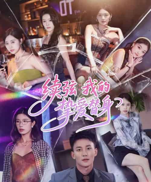 续弦我的挚爱替身(62集全)李仁郅&马欣蕾-搜外项目网