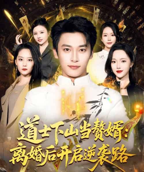 道士下山当赘婿:离婚后开启逆袭路(75集全)王泊渊&宋宇欣-搜外项目网