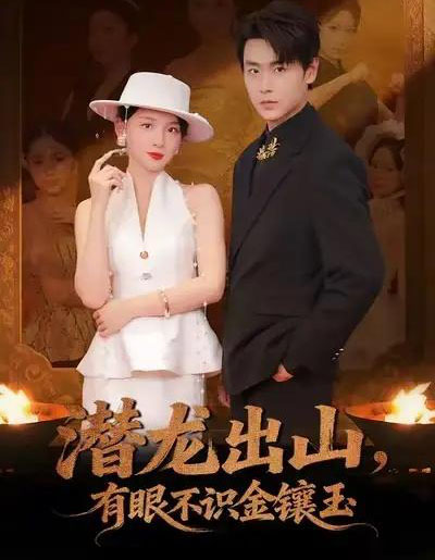 潜龙出山，有眼不识金镶玉（78集全）孔德瑞＆张婉悦-搜外项目网