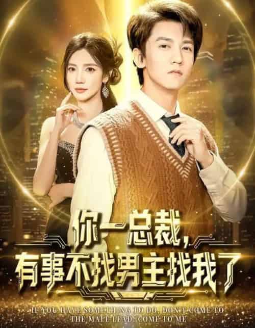你一总裁,有事不找男主找我了(80集全)李泽源&朱珠-搜外项目网