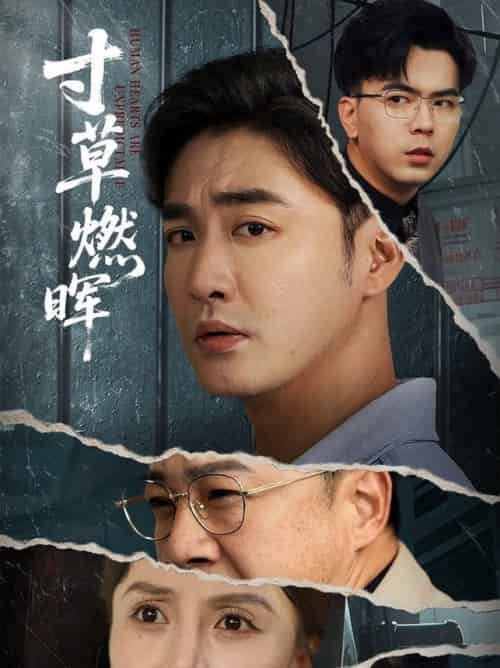 寸草燃晖（70集全）李季＆张敏倩-搜外项目网