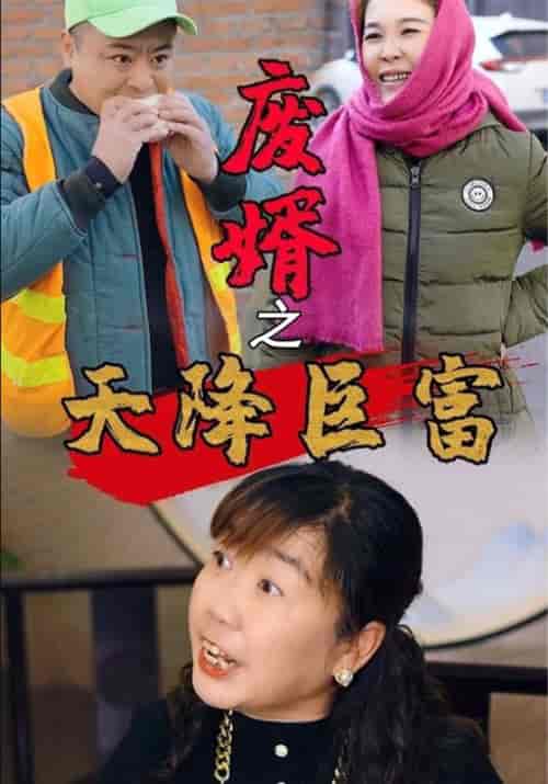 废婿之天降巨富（41集全）华宇＆梦瑶-搜外项目网