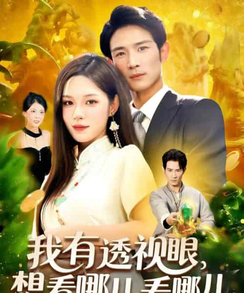 我有透视眼想看哪儿看哪儿（100集全）朱佳琪＆何俊雄-搜外项目网