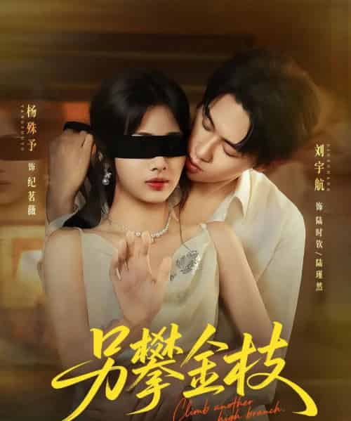 另攀金枝(60集)刘宇航&杨殊予-搜外项目网