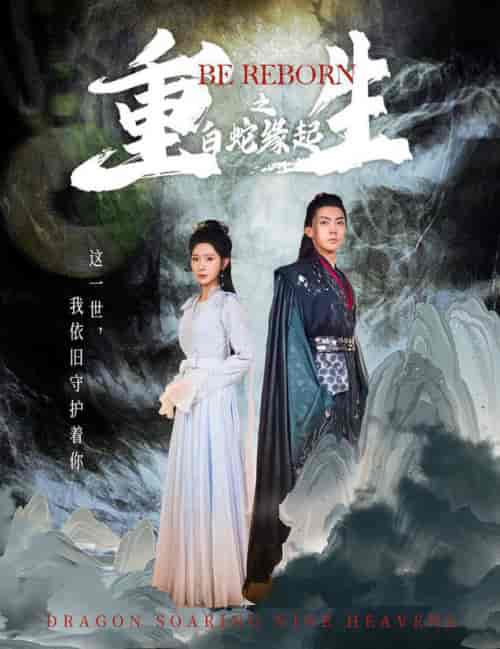 重生之白蛇缘起（63集全）仙侠剧-搜外项目网