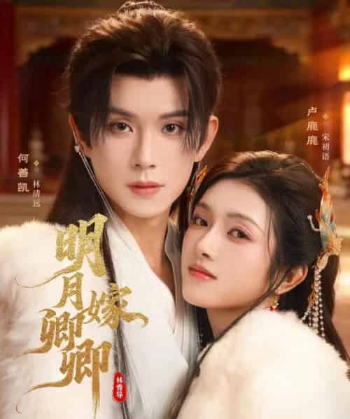明月嫁卿卿（82集全）何善凯＆卢鹿鹿-搜外项目网