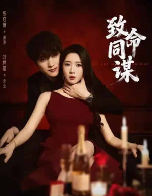 致命同谋（63集全）冯祥琨＆张启旋-搜外项目网