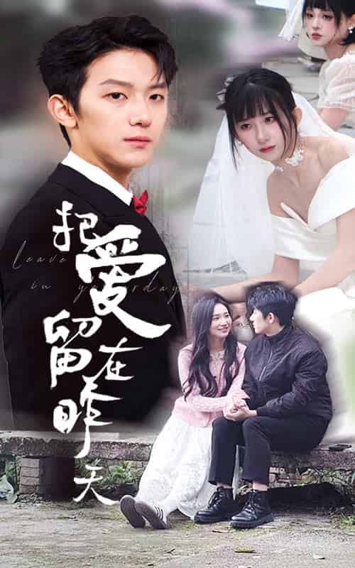 把爱留在昨天＆情浅爱自消（31集全）李悦暄＆纳鑫-搜外项目网