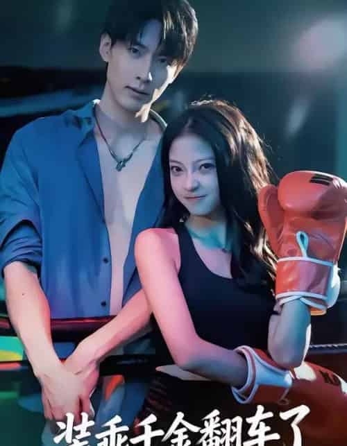 装乖千金翻车了（60集全）卢美汕＆成岳-搜外项目网