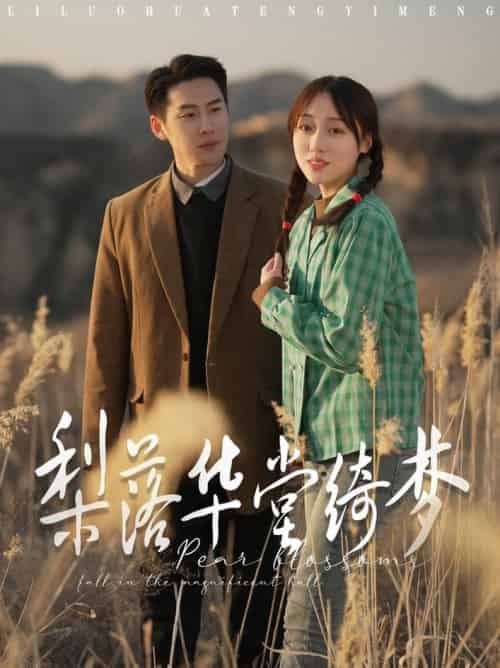 梨落华堂绮梦（95集全）王炳翔＆李灼一-搜外项目网