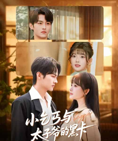 小乞丐与太子爷的黑卡(60集全)臧晓嘉(嘉言)&远雨艾-搜外项目网