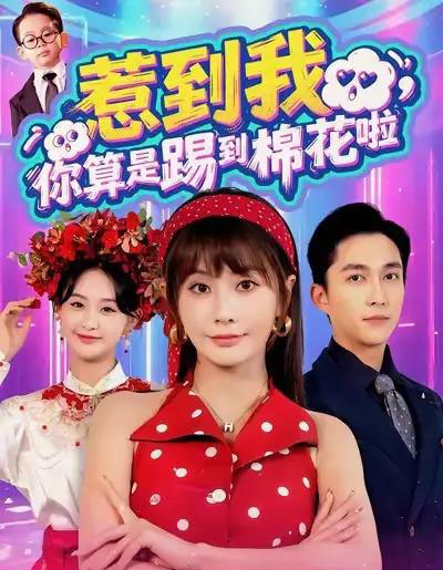 惹到我,你算是踢到棉花啦(67集全)陈楚洹&娄宇瑶-搜外项目网