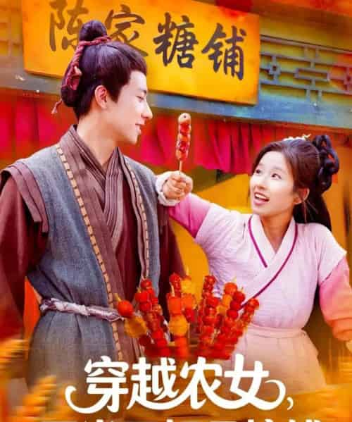 穿越农女不当王妃只搞钱(109集全)董兆霖&曲笑孝-搜外项目网