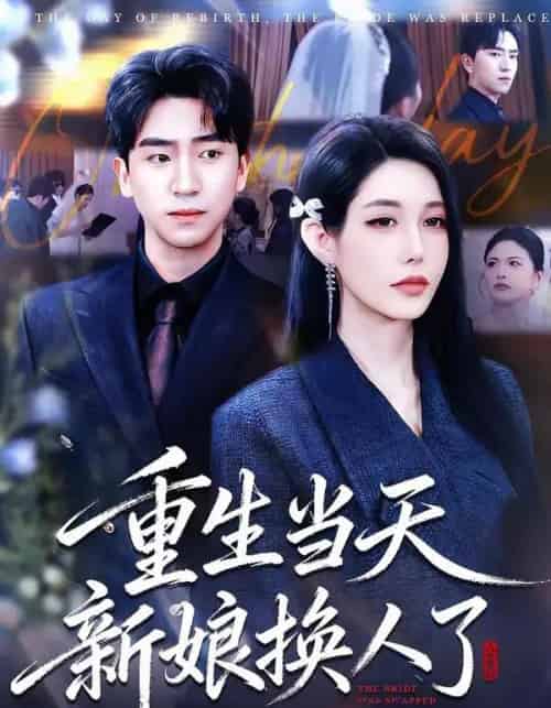重生当天新娘换人了（72集全）梓豪＆凌月-搜外项目网