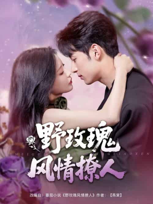 野玫瑰风情撩人（85集全）张屹杨＆陈思澈-搜外项目网