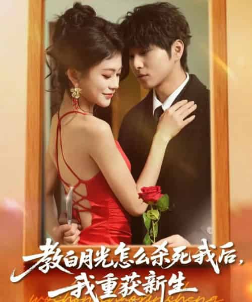 教白月光怎么杀死我后，我重获新生（45集全）张易嵘＆陈妞妞-搜外项目网