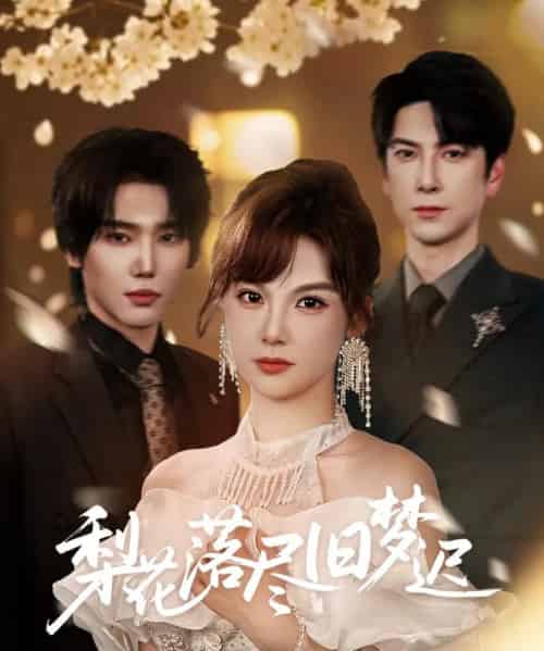 梨花落尽旧梦迟（60集）韩江宇＆朱馨玉-搜外项目网