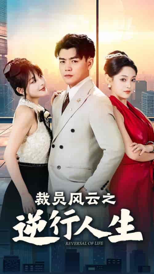 裁员风云之逆行人生（34集）啾啾-搜外项目网