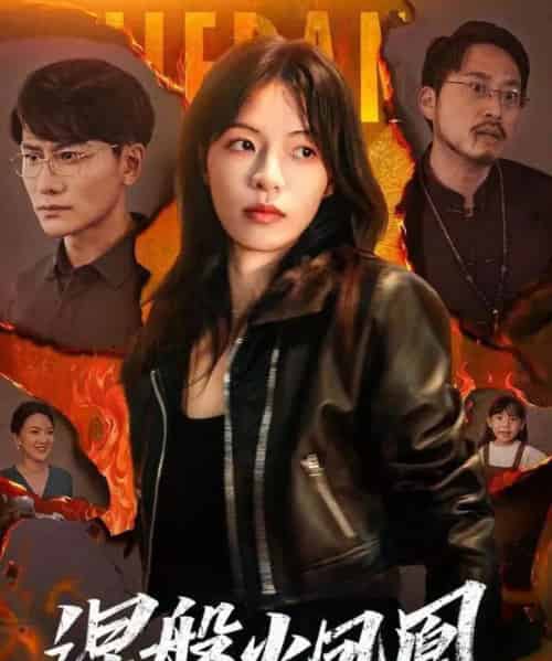 涅槃火凤凰（60集全）魏嘉＆韩明熙-搜外项目网