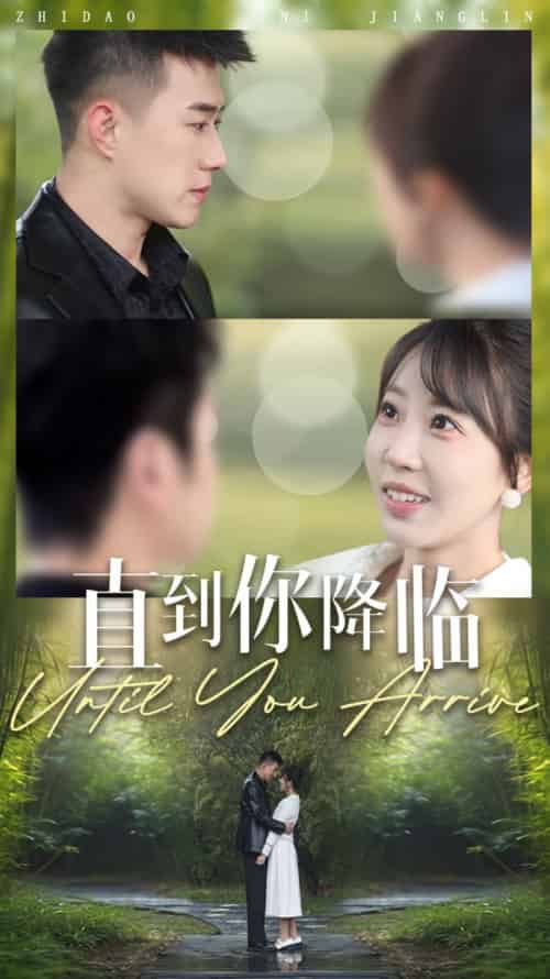 直到你降临（84集全）黄文博＆彭呆呆-搜外项目网