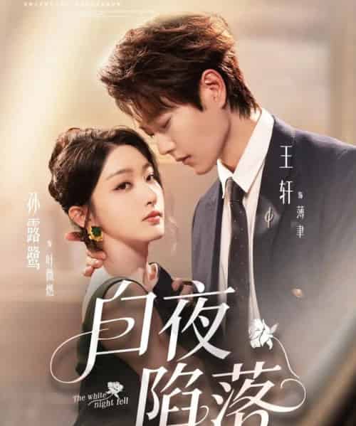 白夜陷落（81集全）王轩＆孙露鹭-搜外项目网