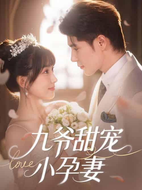 九爷甜宠小孕妻（85集）王梓亦＆王燕飞-搜外项目网