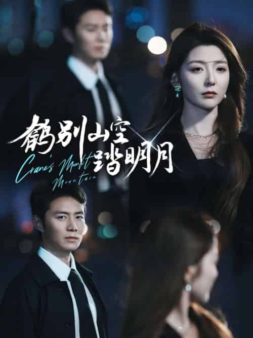 鹤别山空踏明月（53集）宋晓＆陈聿修-搜外项目网