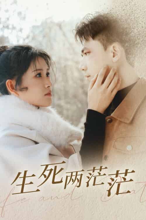 生死两茫茫（35集全）远霞-搜外项目网