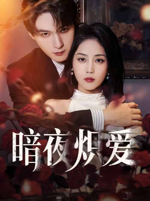 暗夜炽爱(50集)黄云云&常喆宽-搜外项目网