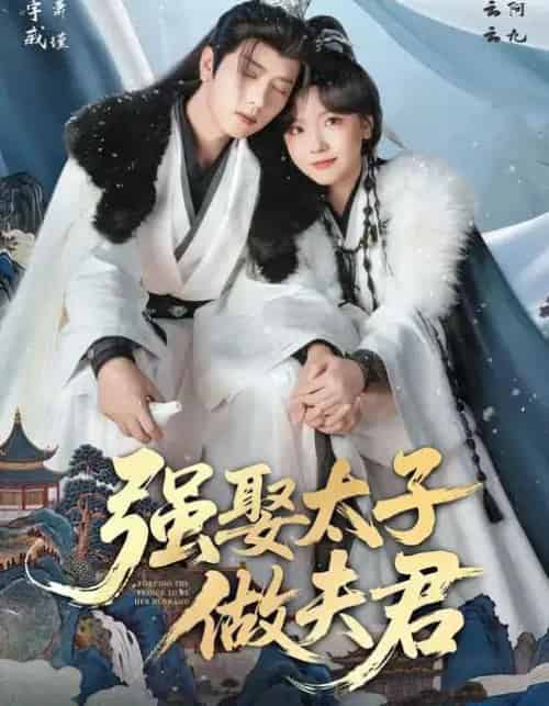 强娶太子做夫君(67集全)王宇威&王云云-搜外项目网