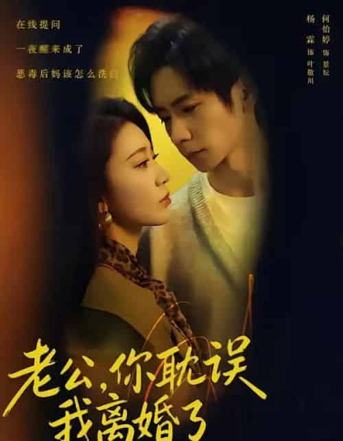 老公,你耽误我离婚了(70集全)何怡婷&杨霖&邓卓-搜外项目网