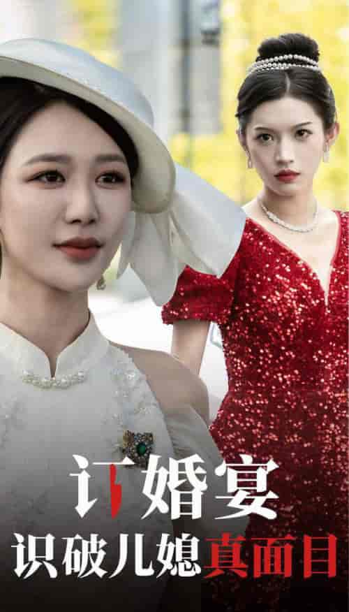 订婚宴识破儿媳真面目（30集全）柳甯 钟莹玲-搜外项目网