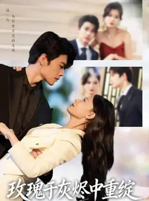 玫瑰于灰烬中重绽 （65集全） 刘宸羽＆毕雪-搜外项目网