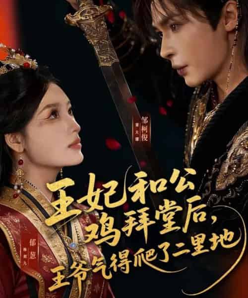 王妃和公鸡拜堂后，王爷气得爬了二里地（73集全）邹柯俊＆郁葱-搜外项目网