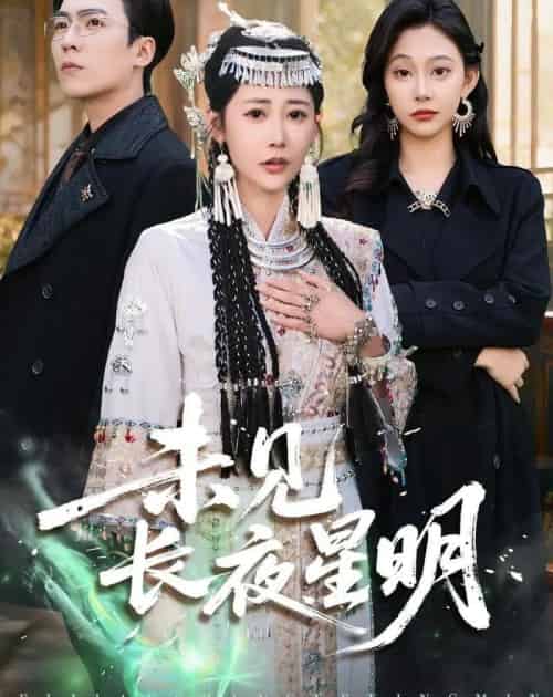 未见长夜星明（95集全）邰靖懿＆滕昊天-搜外项目网