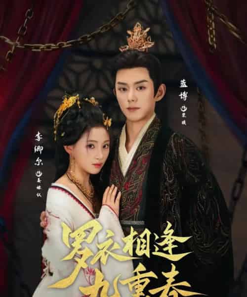 罗衣相逢九重春(80集)蓝博&李卿尔-搜外项目网