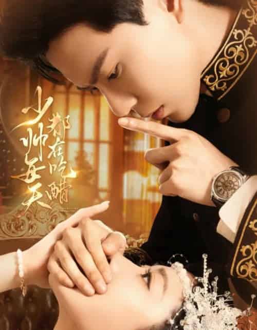 少帅每天都在吃醋(81集全)黄浩雯&袁雨涵-搜外项目网