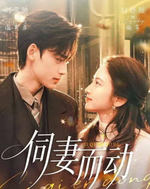 伺妻而动(90集全)刘笑驰&付妤舒-搜外项目网